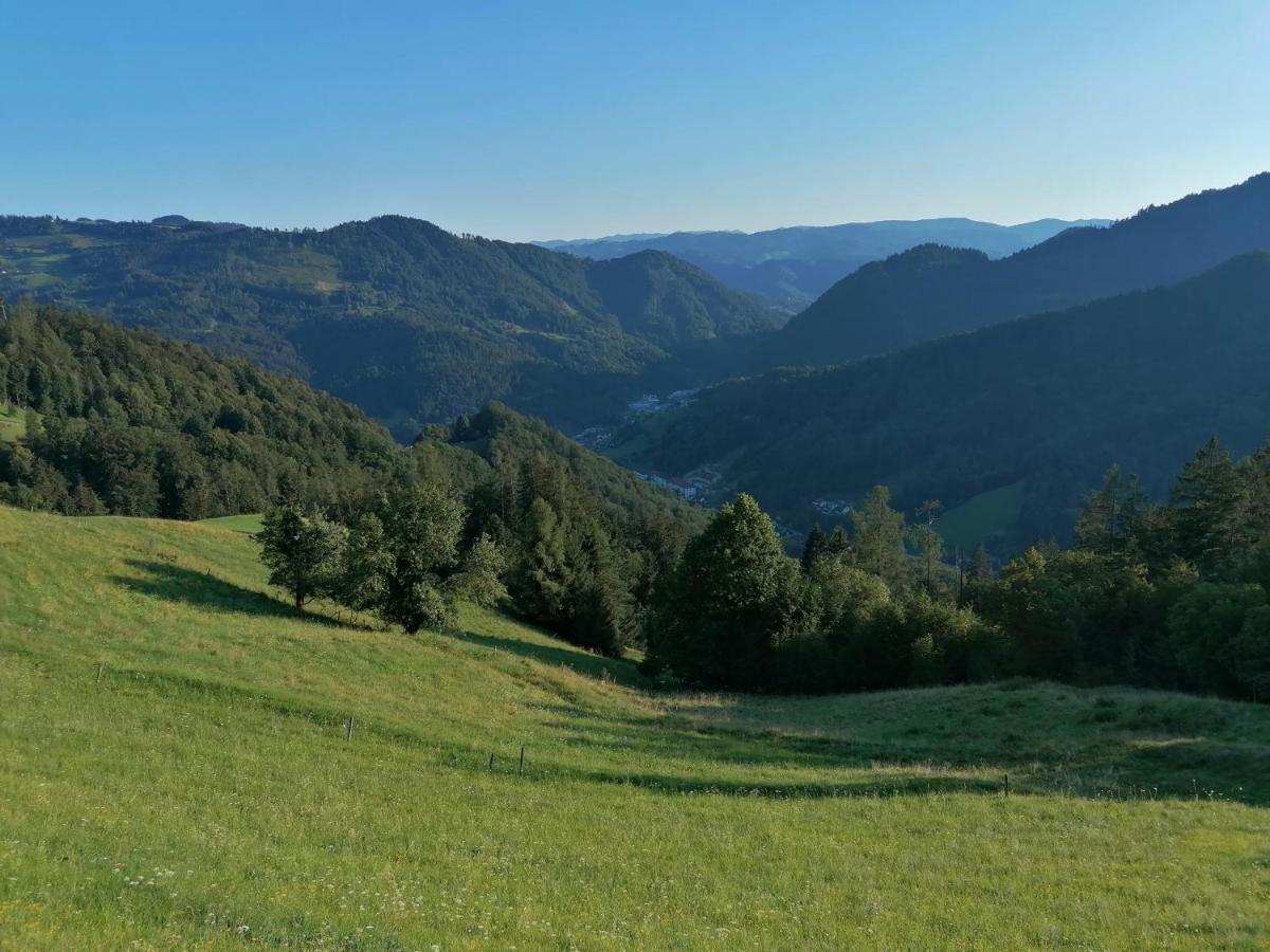 Apartma Na Ravnicah Cerkno Exterior photo