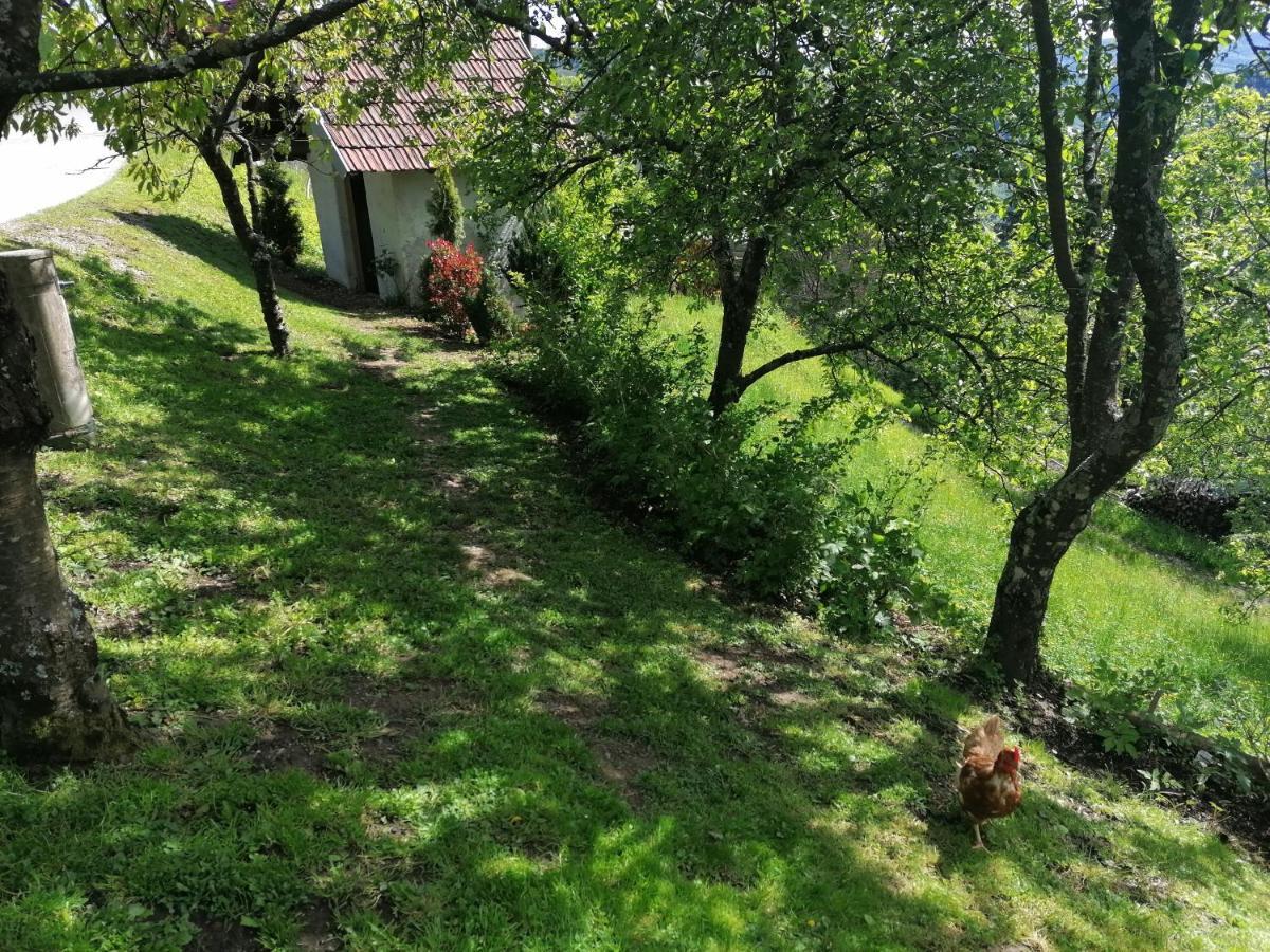 Apartma Na Ravnicah Cerkno Exterior photo
