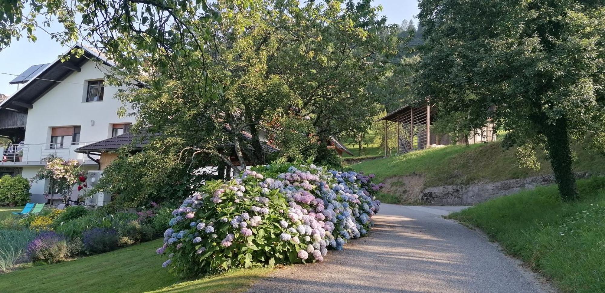 Apartma Na Ravnicah Cerkno Exterior photo